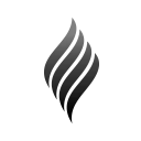 New World Insurance Serives Ltd